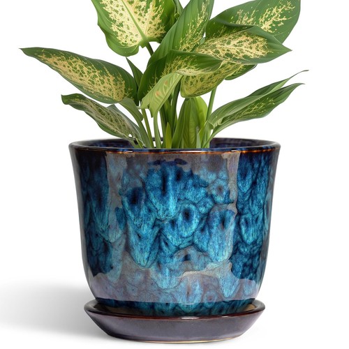 Sunpotfor inch plant pot - 5.6,