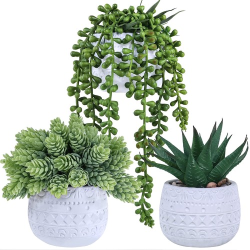 Pcs assorted small potted - assorted,