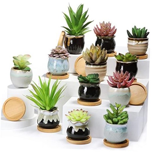 Pcs small succulent pots bulk - succulent,