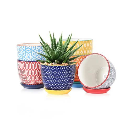 Ceramic succulent pots - succulent,