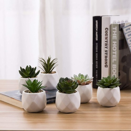 Mini assorted artificial - mini,