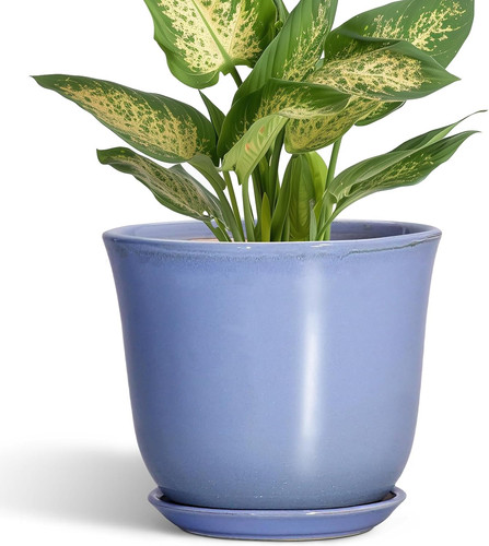 Ceramic plant pots 6 inch - -, 5.6