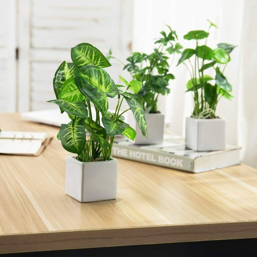 Artificial assorted plants - artificial,