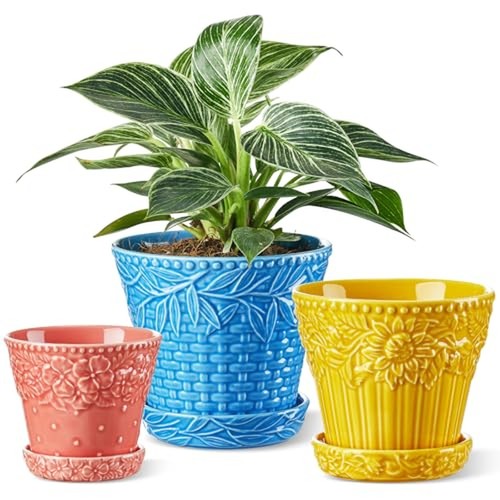 Metahom ceramic plant pots - metahom,
