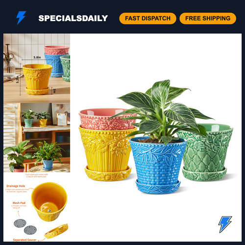 Set assorted 8 inch - assorted,