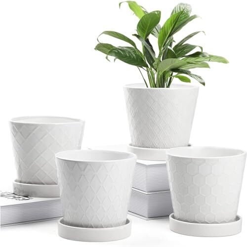 Buymax plant pots - pots, indoor