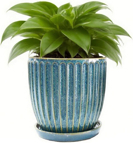 Inch ceramic plant pots with - 6-inch,