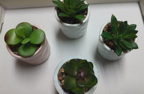 Set artificial succulent - of,