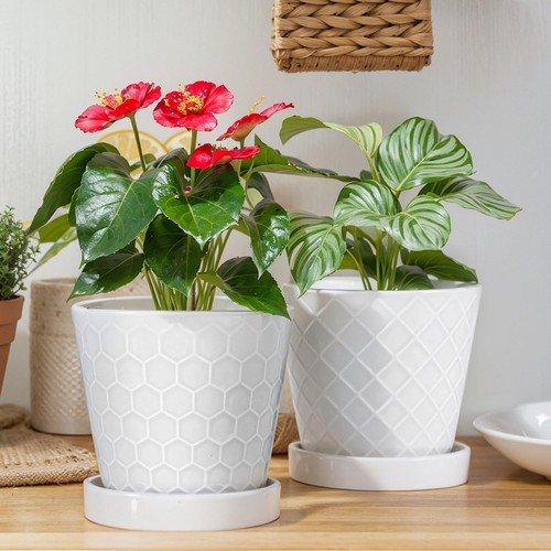 Inch ceramic plant - 6,