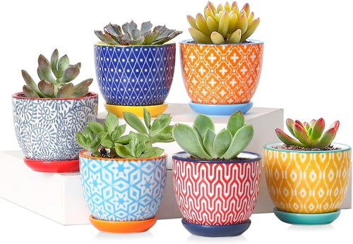 Inch ceramic succulent - ceramic,