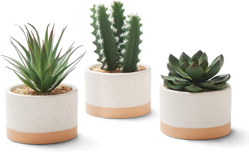 Artificial succulent plants - artificial,