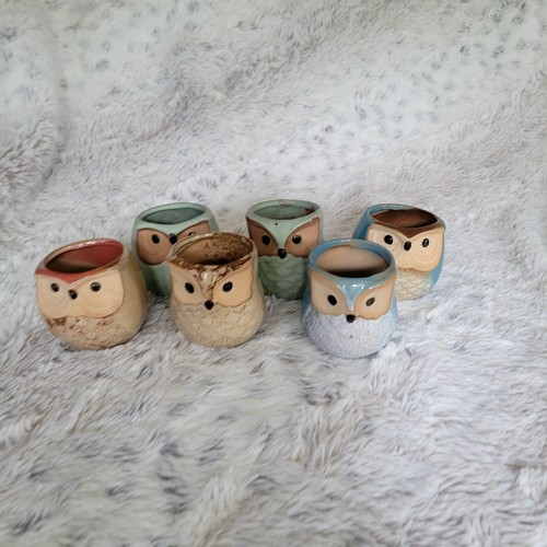 Owl ceramic succulent - 6,
