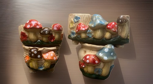Planters flower plant pots - plant,