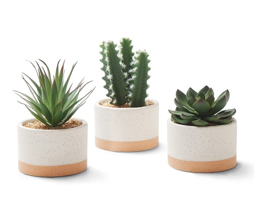 Artificial succulent plants - succulent,